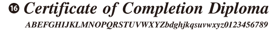 No.16　欧文書体06　(日本語は使用できません）