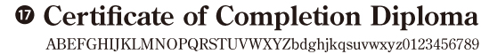 No.17　欧文書体07　(日本語は使用できません）